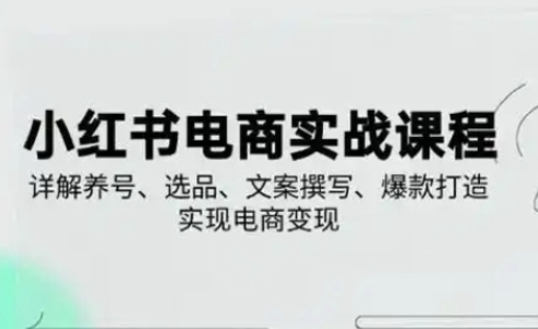 小红书从0-1实操课(2023-2025),详解养号、选品、文案撰写、爆款打造实现电商变现-富吧资源站