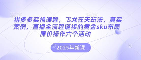 拼多多实操课程,飞龙在天玩法,真实案例,直播全流程链接的黄金sku布局原价操作六个活动-富吧资源站