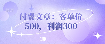 付费文章:客单价500,利润300-富吧资源站