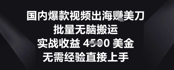 国内爆款视频出海挣美刀，批量无脑搬运，实战收益4.5k，无需经验直接上手-富吧资源站
