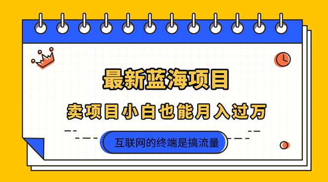 (14289期)2025年最新蓝海项目,卖项目小白也能月入过万-富吧资源站