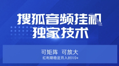 【搜狐音频挂G】独家技术，可矩阵可放大，红利期稳定月入8k【揭秘】-富吧资源站