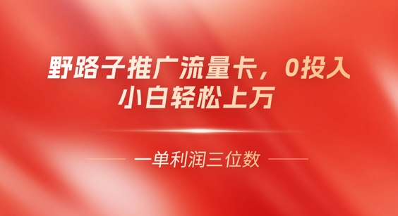 0门槛推广流量卡，一单收益上百，0投入，小白月入过W-富吧资源站