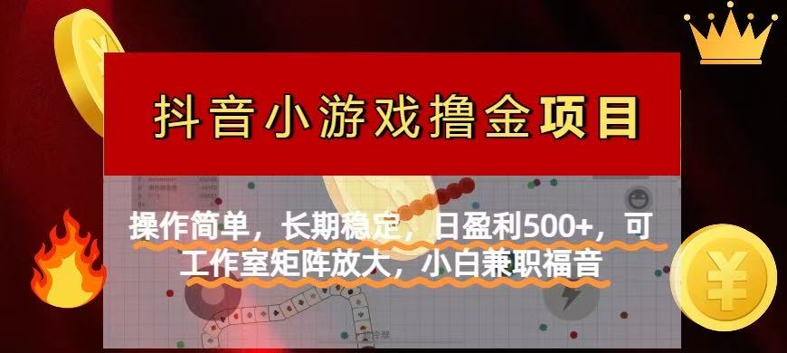 （14290期）【抖音小游戏发行人计划项目】操作简单，长期稳定，日盈利500+，可工作…-富吧资源站