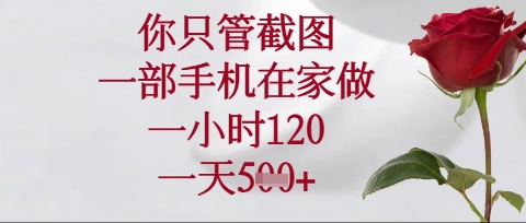 你只管截图,一部手机在家操作,一小时120.一天5张【揭秘】-富吧资源站